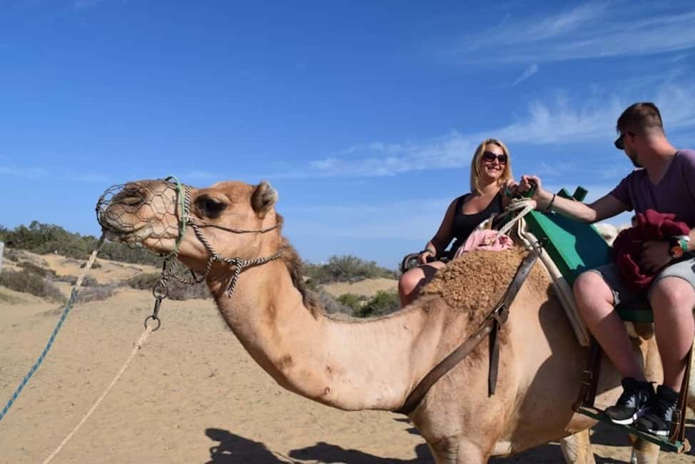 Maspalomas: Guided Camel Ride in the Maspalomas Sand Dunes - The Ride Experience: 2-Seater Comfort in Rolling Dunes