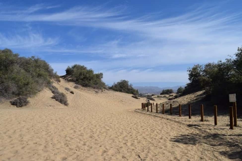 Maspalomas: Guided Camel Ride in the Maspalomas Sand Dunes - Photos and the Wind Factor You Should Plan For