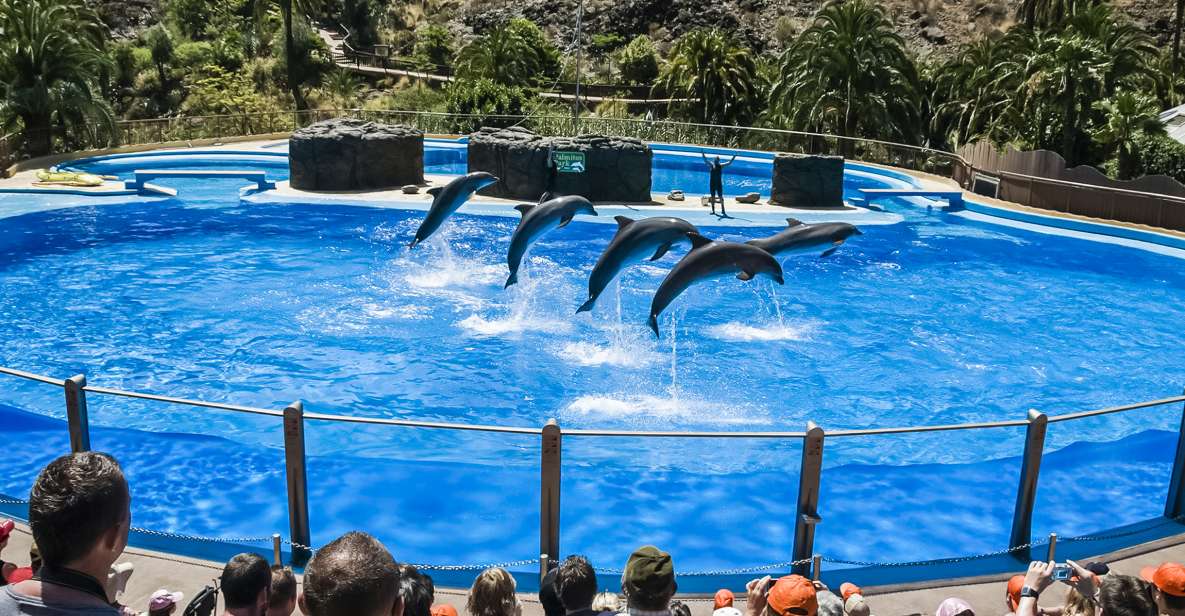 Maspalomas: Palmitos Park Ticket with Dolphin and Bird Shows - Palmitos Park Near Maspalomas: Where It Is and How It Feels