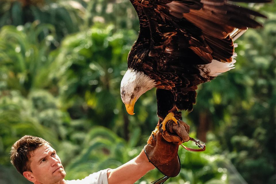 Maspalomas: Palmitos Park Ticket with Dolphin and Bird Shows - Ticket Value Around $44: What’s Included (and What Costs Extra)