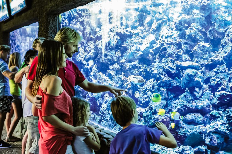 Maspalomas: Palmitos Park Ticket with Dolphin and Bird Shows - Parrot Show, Aquarium, and Butterfly House: More Than Just Wildlife