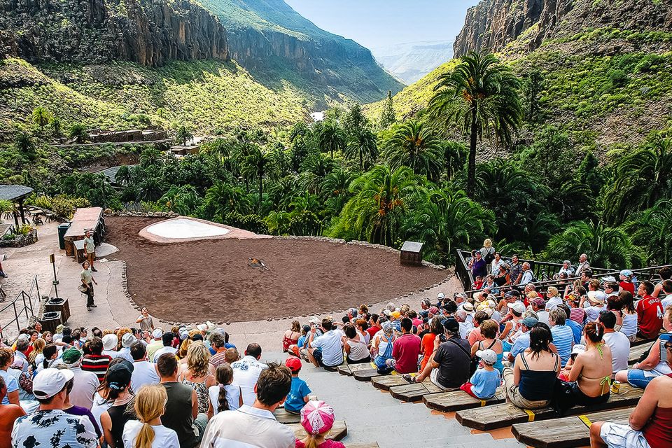 Maspalomas: Palmitos Park Ticket with Dolphin and Bird Shows - Walking, Hills, and Getting Around: What to Pack for the Real Day