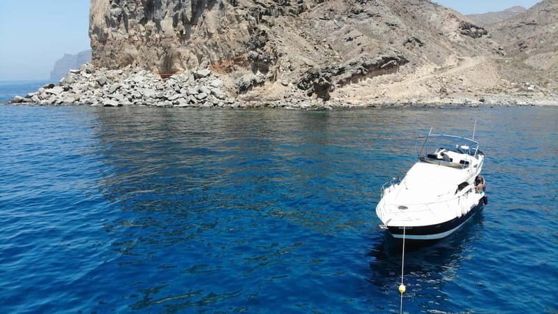 Mogan: Dolphin Watching Boat Trip with Swim Stop - Why Puerto de Mogan’s small-yacht dolphin trip feels worth it