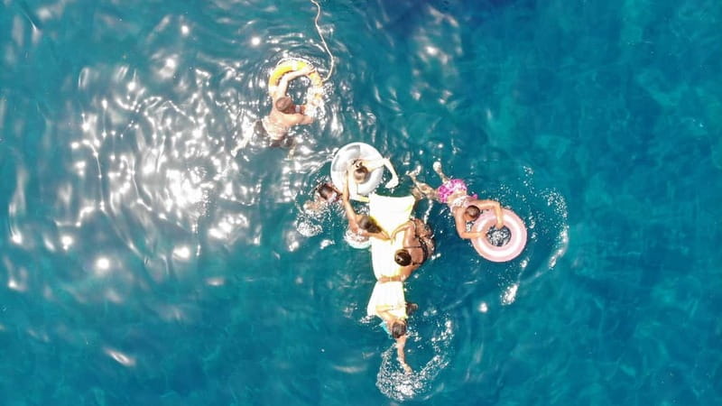 Mogan: Dolphin Watching Boat Trip with Swim Stop - Dolphin spotting in the Atlantic: what you can realistically hope for