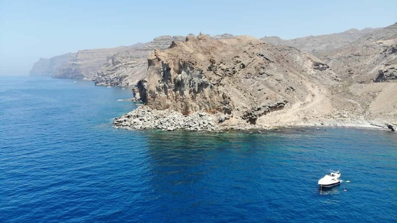 Mogan: Dolphin Watching Boat Trip with Swim Stop - My booking checklist for a smooth day on the water