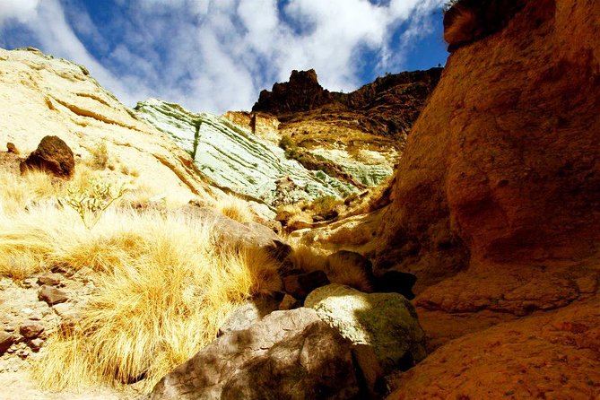 Mogán, La Aldea, Las Canteras - Big Island Tour Gran Canaria - Key highlights to look forward to