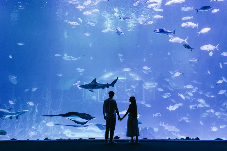 Poema del Mar Skip-the-Line Ticket - Entering Poema del Mar’s 35-ecosystem circuit