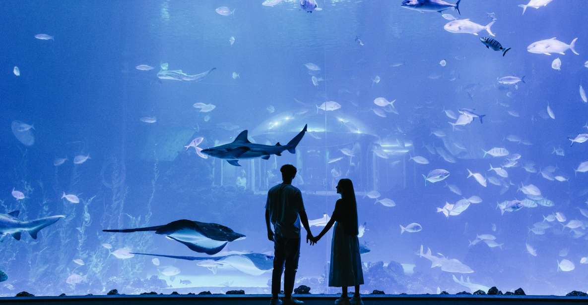 Poema del Mar Skip-the-Line Ticket - Deep Sea: multiple viewing points in dark water