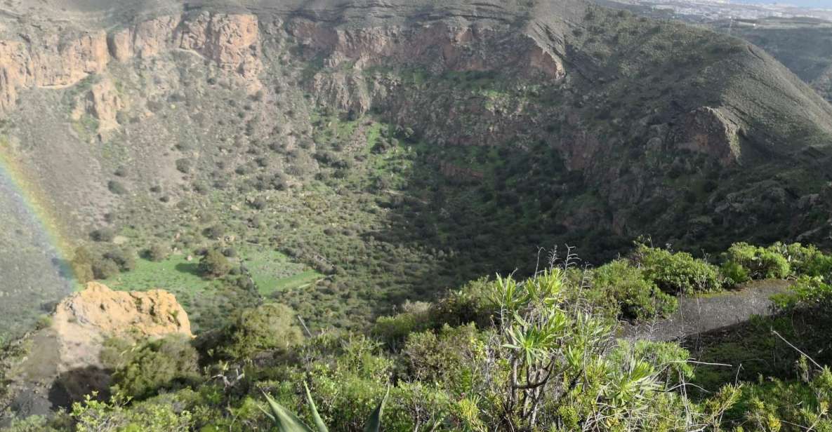 Private Bandama Caldera Volcano, Botanic Garden & Old Town - Key takeaways
