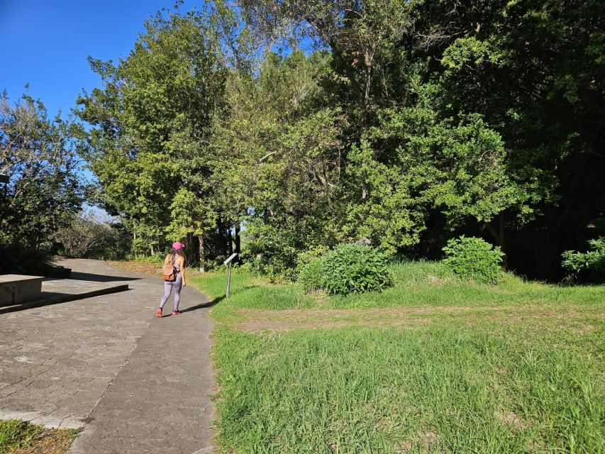 Private Bandama Caldera Volcano, Botanic Garden & Old Town - Your guide experience: what Artemis adds (and why it matters)