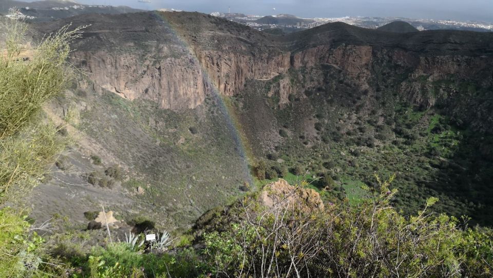 Private Bandama Caldera Volcano, Botanic Garden & Old Town - Should you book this Bandama Caldera, gardens, and Old Town tour?