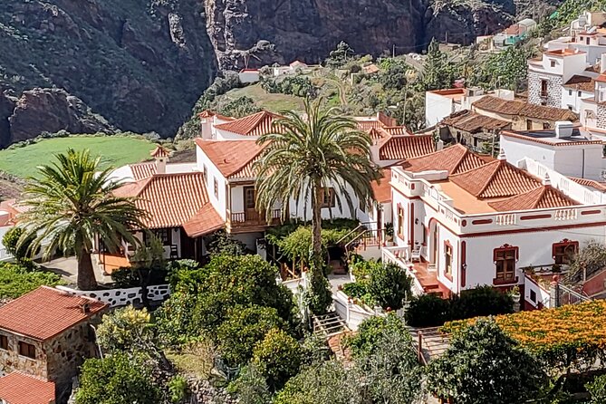 Private Excursion The mountains of Gran Canaria for 2 to 4 people - Why This Mountain Day Feels Like a Different Island