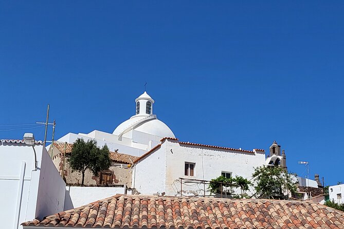 Private Excursion The mountains of Gran Canaria for 2 to 4 people - Stop 2: Fataga Village Walk in a Quiet Valley Setting
