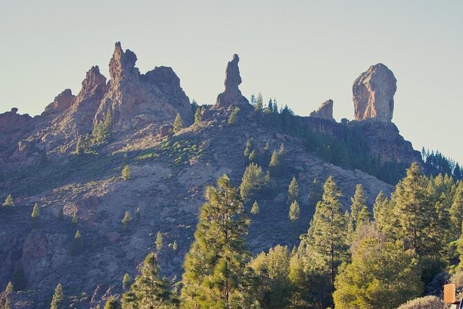 Private Excursion The mountains of Gran Canaria for 2 to 4 people - Pickup in Las Palmas: How the Morning Usually Starts