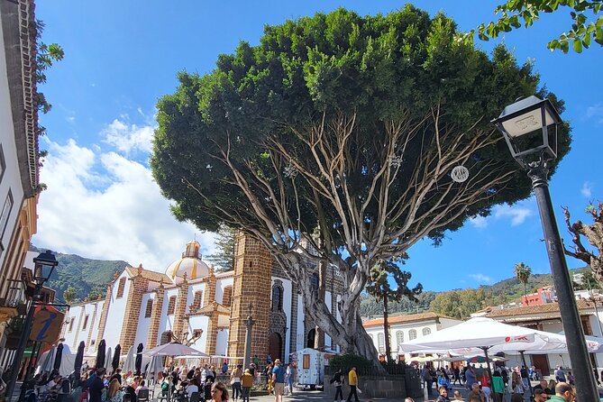 Private Tour from the Port of Las Palmas to Teror Firgas Arucas - Transport comfort on Gran Canaria’s winding roads