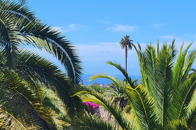 Private Tour from the Port of Las Palmas to Teror Firgas Arucas - Who should book this tour