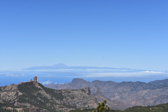 Private Tour Guide in Gran Canaria - Key things you’ll notice right away