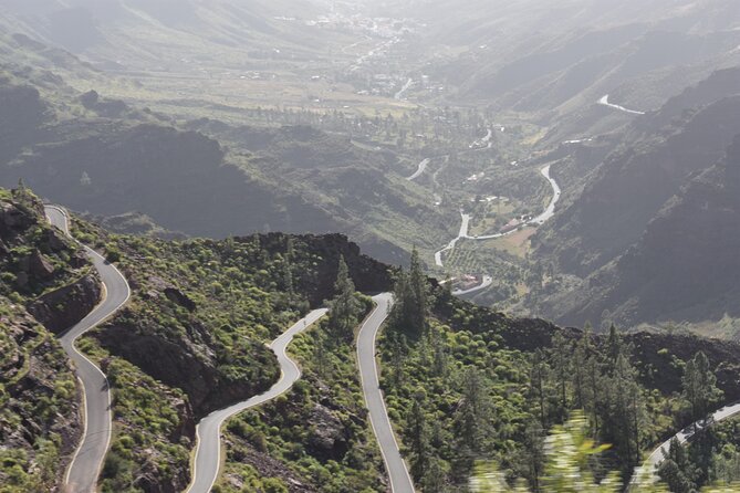 Private Tour Guide in Gran Canaria - Price and value for up to four people