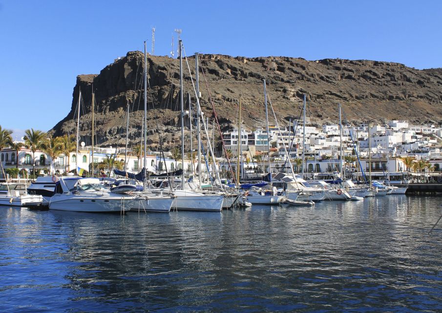Puerto de Mogan: Boat and Snorkeling Trip - Should you book the Yellow Boat Mogan Puerto de Mogán snorkeling trip?