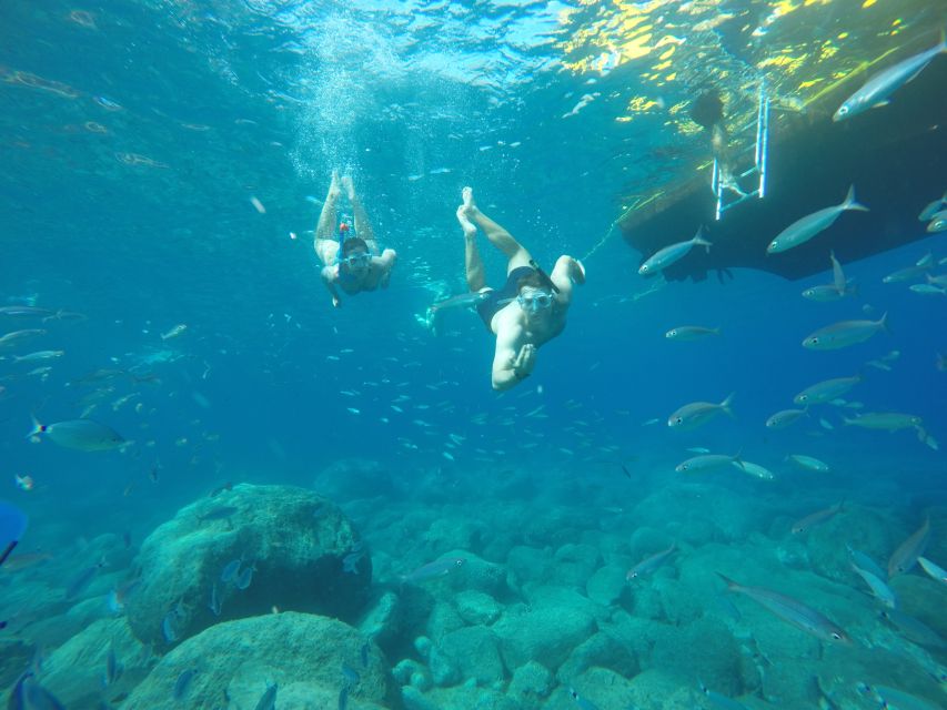 Puerto de Mogan: Boat and Snorkeling Trip - Playa de Tasarte: the scenic cruise piece that sets the mood