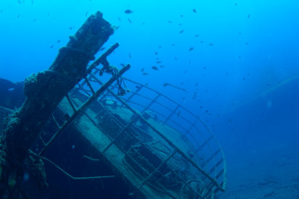 Puerto de Mogán: Submarine Tour - Key highlights you should plan around