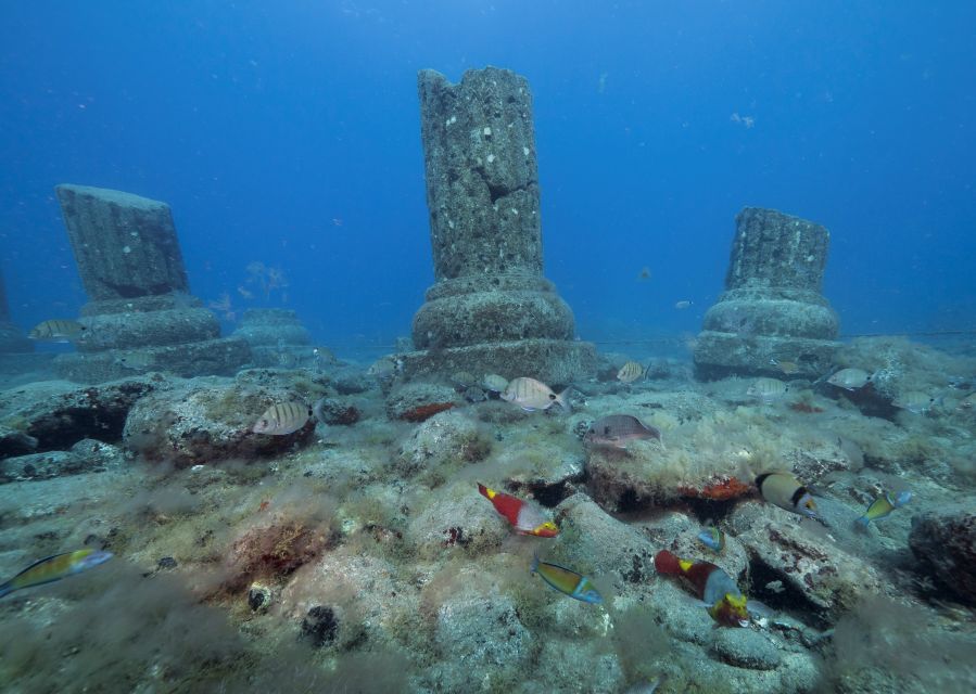 Puerto de Mogán: Submarine Tour - FAQ