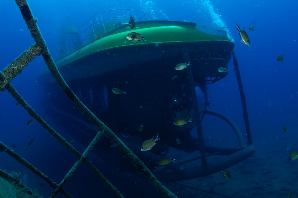 Puerto de Mogán: Submarine Tour - Puerto de Mogán’s Golden Shark: what the 40 minutes feels like