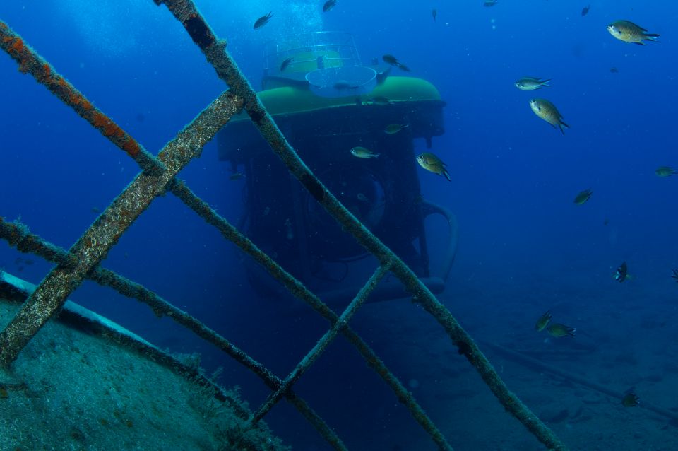 Puerto de Mogán: Submarine Tour - Photos, souvenirs, and how to turn the ride into memories