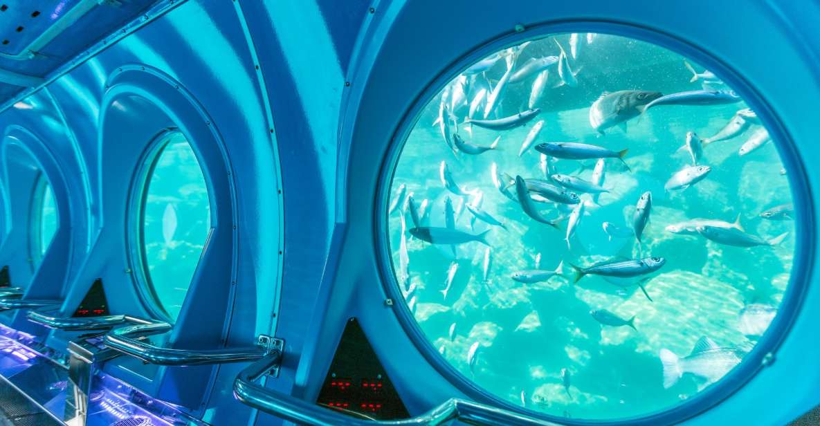 Puerto de Mogán: Submarine Tour - Who this tour suits best (and who should skip it)