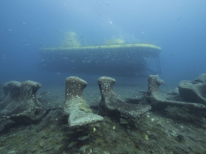 Puerto de Mogán: Submarine Tour - Should you book this Puerto de Mogán submarine tour?