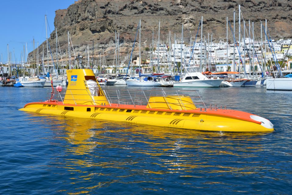 Puerto de Mogán: Submarine Tour - Before you board at Pantalán Dique Sur: quick logistics that matter