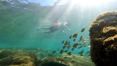 Puerto Mogán: Guided Adventure Kayak Tour in Caves & Snorkel - The Pre-Launch Kayak Masterclass (Why You Feel Safe Out There)
