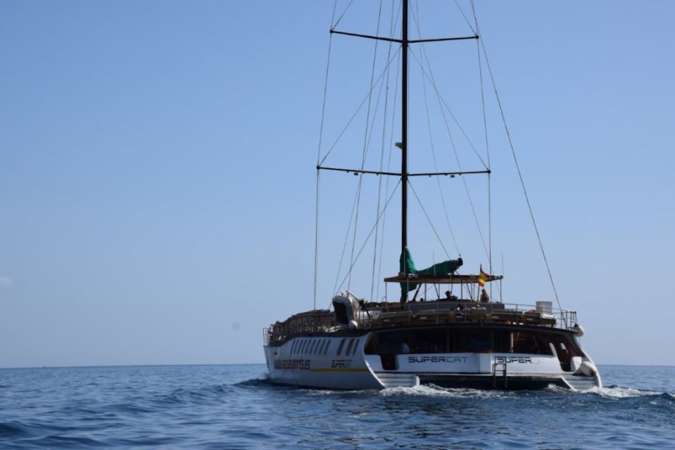 Puerto Rico : 2 hour Dolphin Catamaran Excursion - Key Highlights to Pay Attention To