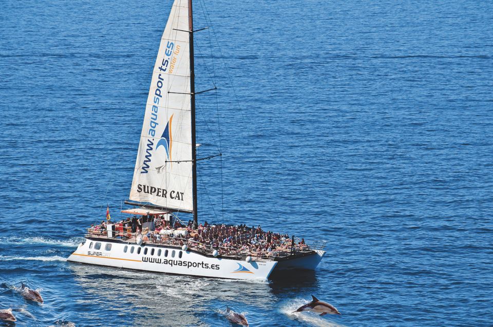 Puerto Rico : 2 hour Dolphin Catamaran Excursion - Why Puerto Rico Is a Smart Launch Point for Dolphin Spotting