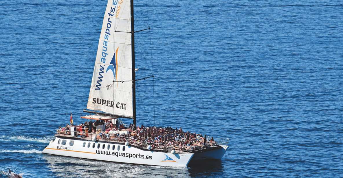 Puerto Rico : 2 hour Dolphin Catamaran Excursion - Wildlife Chances: Dolphins, Turtles, Flying Fish, and Whales