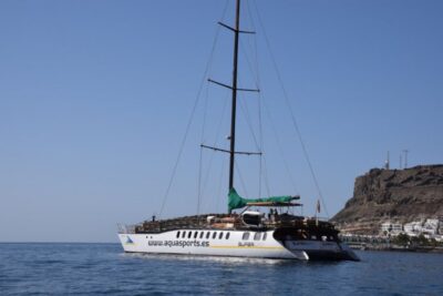 Puerto Rico : 2 hour Dolphin Catamaran Excursion - The 2-Hour Catamaran Ride: What the Time Actually Looks Like