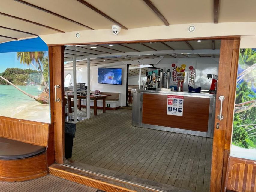 Puerto Rico : 2 hour Dolphin Catamaran Excursion - Comfort Details That Make a Short Cruise Feel Worth It