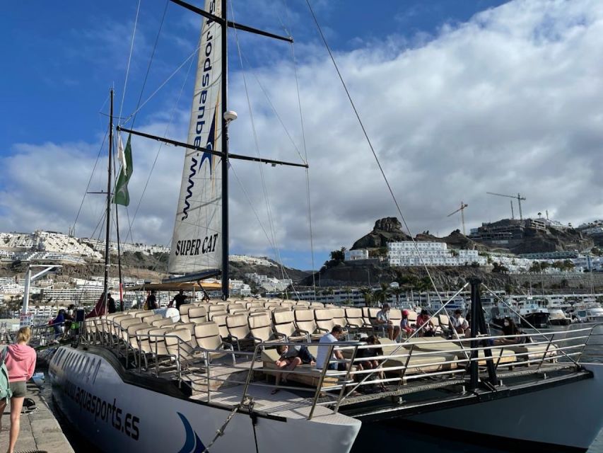 Puerto Rico : 2 hour Dolphin Catamaran Excursion - Price and Value: Is $41 a Good Deal?