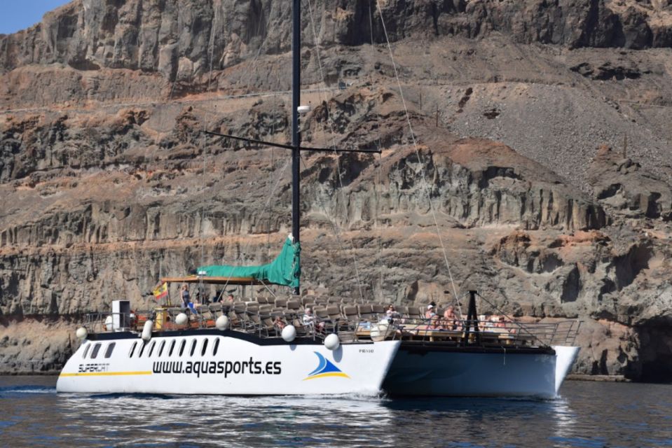 Puerto Rico : 2 hour Dolphin Catamaran Excursion - Who This Dolphin Catamaran Is Best For