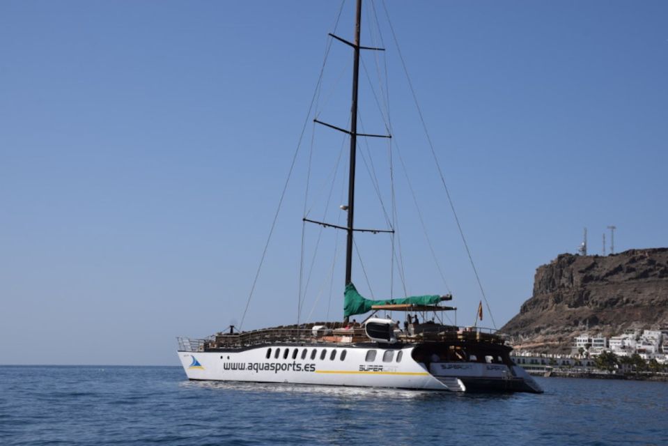 Puerto Rico : 2 hour Dolphin Catamaran Excursion - The 2-Hour Catamaran Ride: What the Time Actually Looks Like