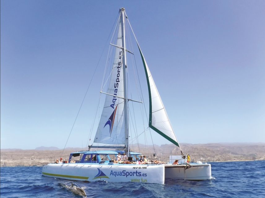 Puerto Rico: 4-Hour Catamaran Excursion in the South - Key things to know before you go