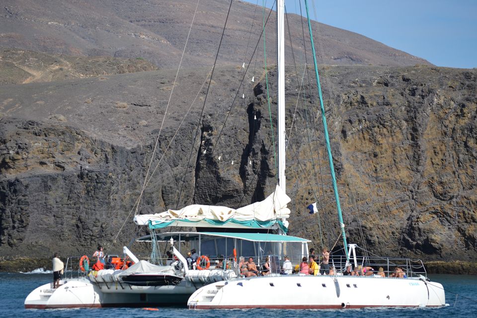 Puerto Rico: 4-Hour Catamaran Excursion in the South - Anchored Swim Time: Crystal Water and a Real Chance at Marine Life