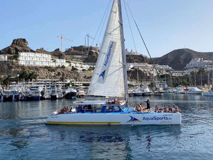 Puerto Rico: 4-Hour Catamaran Excursion in the South - Price and Value: $65 for a Lot of Included Time