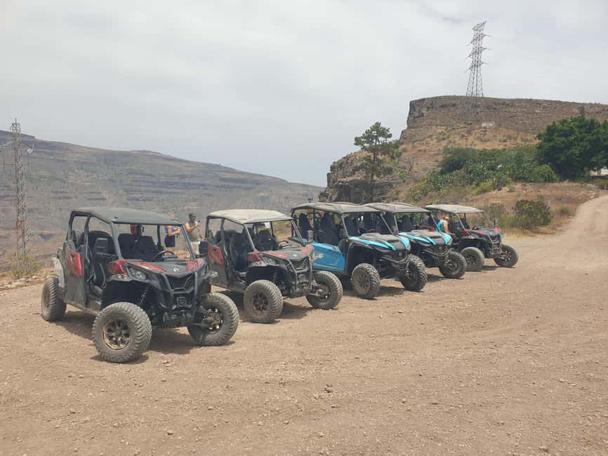 Puerto Rico de Gran Canaria: Dirt Buggy Tour - Wildlife and island facts: why a guide changes the whole experience