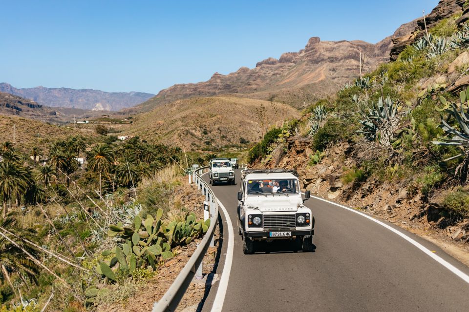 South Gran Canaria: Off-Road Valleys & Villages Jeep Tour - Aloe Vera and food stops: what to expect without being surprised