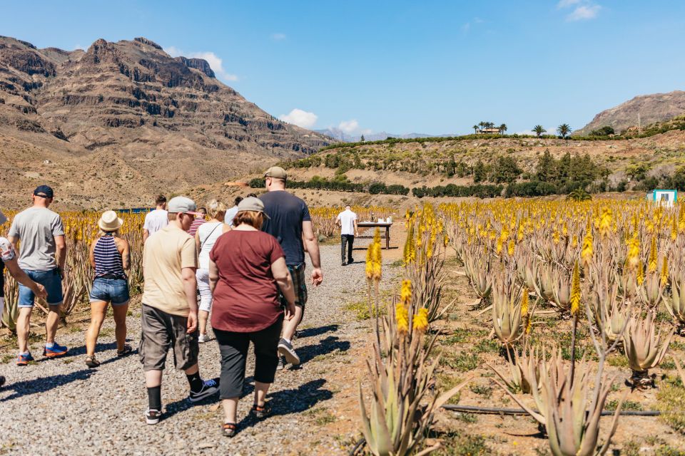South Gran Canaria: Off-Road Valleys & Villages Jeep Tour - South Gran Canaria by Jeep: why this route beats the coast