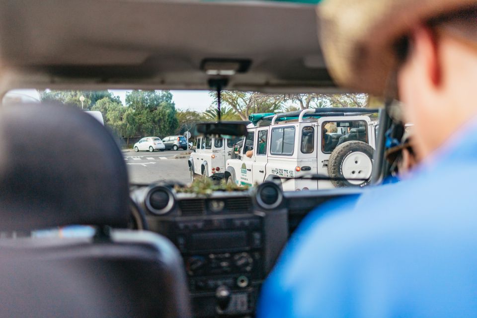 South Gran Canaria: Off-Road Valleys & Villages Jeep Tour - Miradors that bookend the best views: Degollada de las Yeguas and Las Moscas