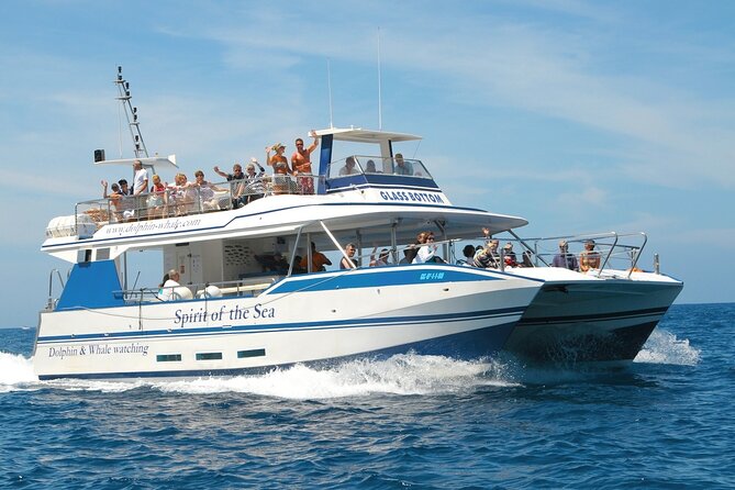 Spirit of the Sea: Cetacean sighting in Gran Canaria - Wildlife-respect rules you’ll feel on the boat