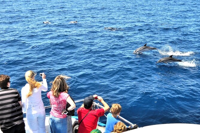 Spirit of the Sea: Cetacean sighting in Gran Canaria - Should you book Spirit of the Sea in Gran Canaria?