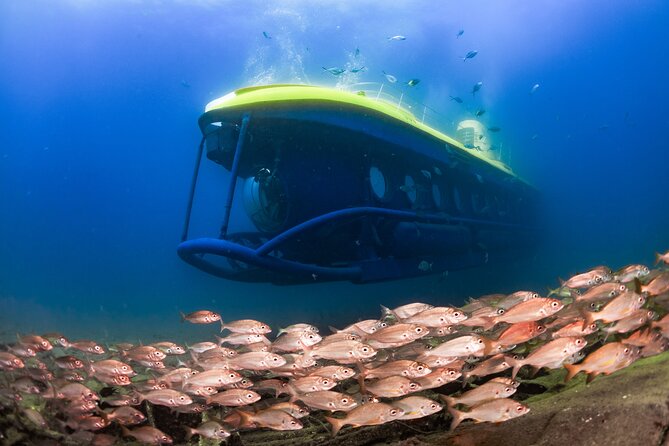 SUBMARINE ADVENTURE - Submarine Excursion in Puerto de Mogán - Key things to know before you go